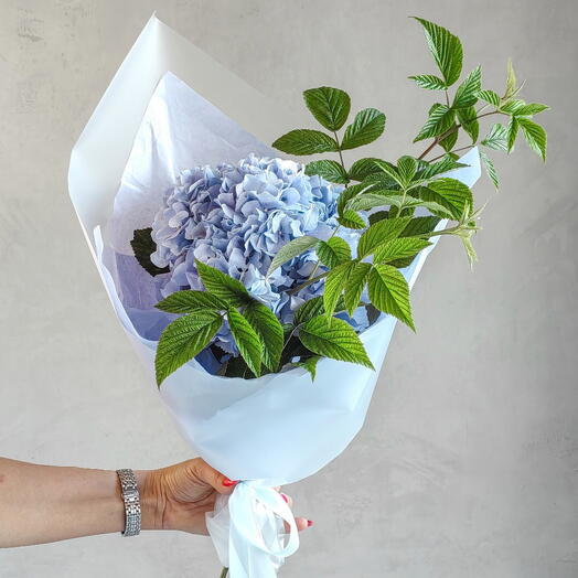 Голубая Гортензия с зеленью к 1 сентября🩵🌿