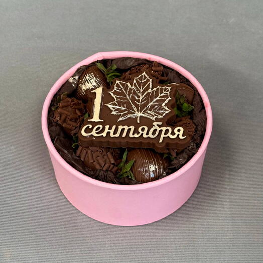 Мини-шайба «1 сентября»