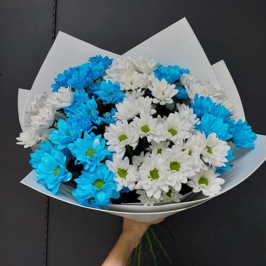 Букет микс ромашек голубые/белые💙🤍