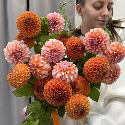 Моно букет в коробке: георгин Корнел Бронз 11 шт, георгин Peaches and Cream (Пичес) 8 шт, малина