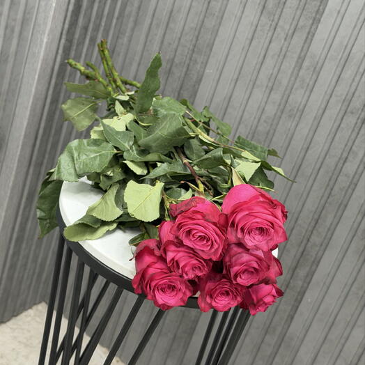 Пачка 7 штук Роза Эквадор Лола