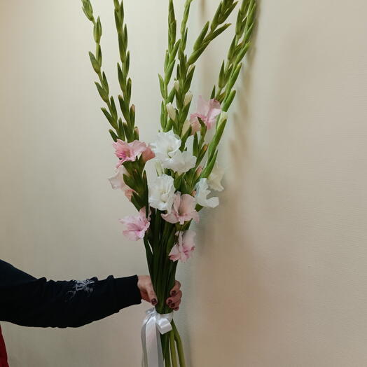 Букет Гладиолусы 7шт