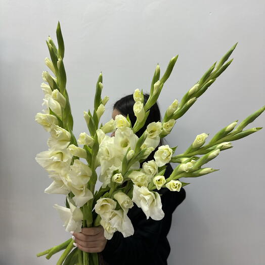 Шикарные гладиолусы