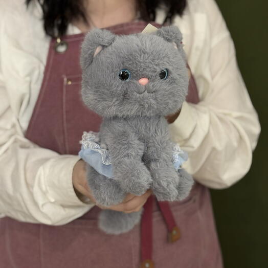 Кот в юбке
