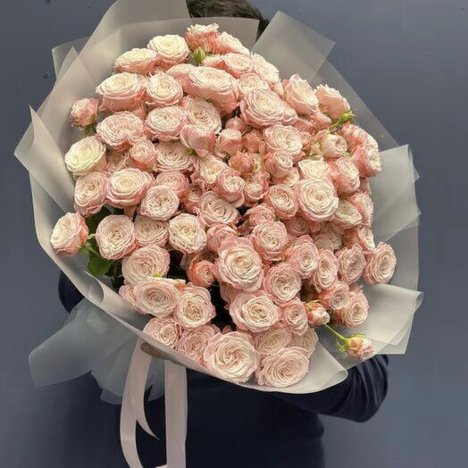 Madame Bombastic Bush Rose