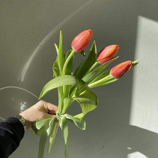 3 тюльпана на ленте 🌷