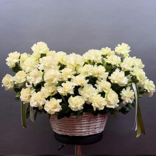 Flower Dream