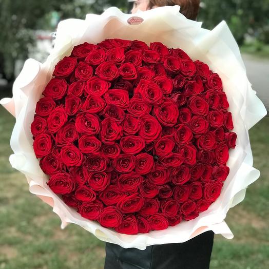 101 rosas 🌹