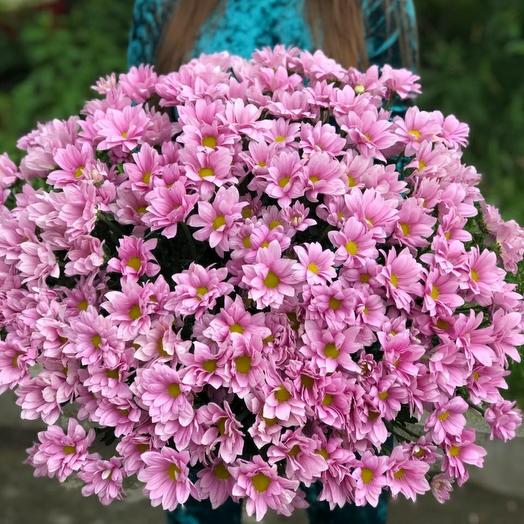 Букет из кустовой хризантемы