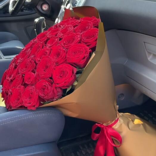 Rose Explorer