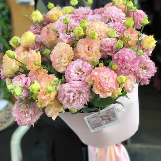 Eustoma