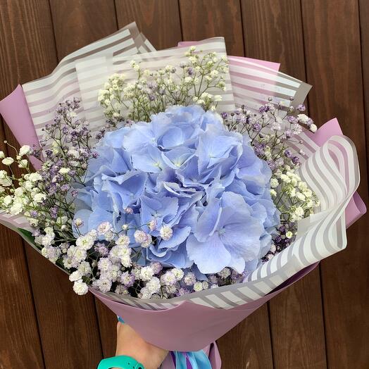 Bouquet of blue hydrangea and gypsophila
