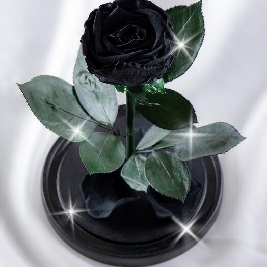 Rosa estabilizada en matraz Therosedome Premium Standart 7 cm, negro
