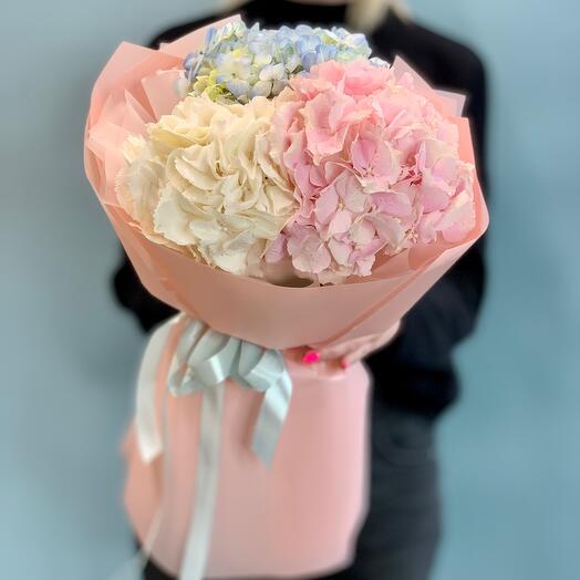 Elegante ramo de hortensias delicadas en un paquete brillante
