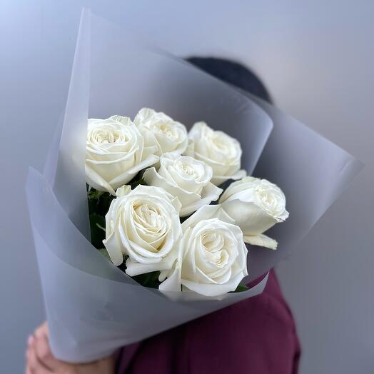 Эквадорские розы , роскошного молочного цвета 🥰