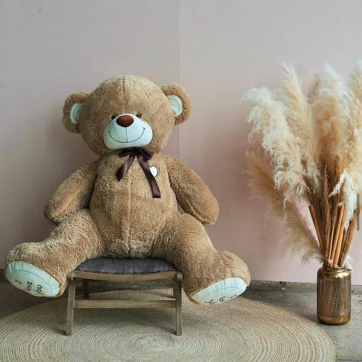 The giant Bear