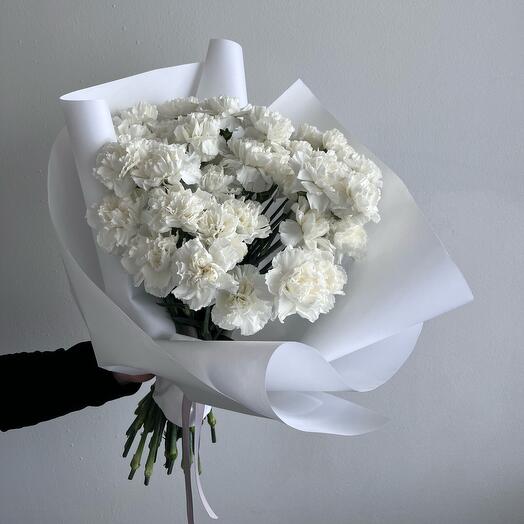 Dianthus Blanco