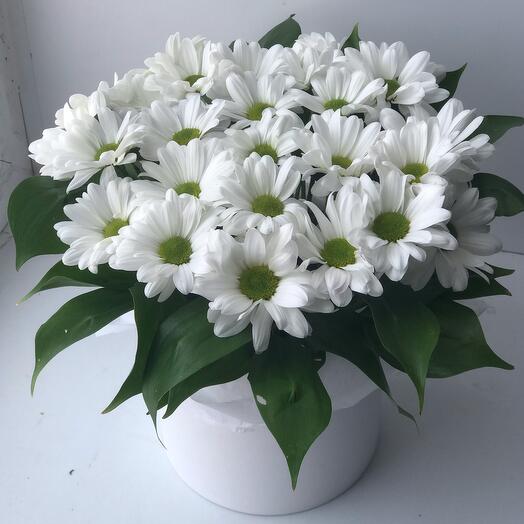 Flowers in a box of Daisies