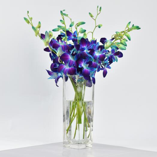 Royal Blue Orchids Vase
