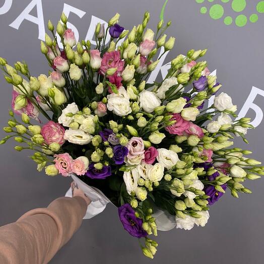 Mezcla de eustoma
