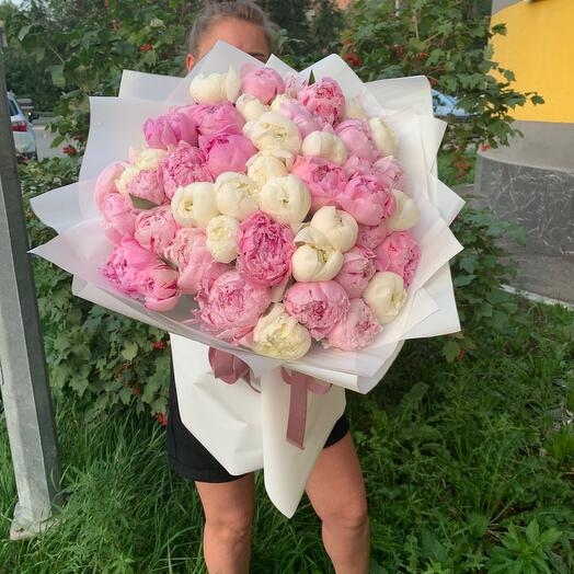 51 пион