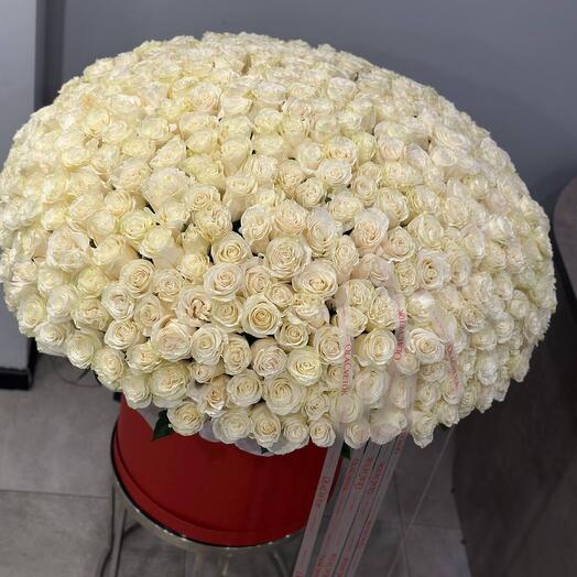 Огромная коробка белых роз 401