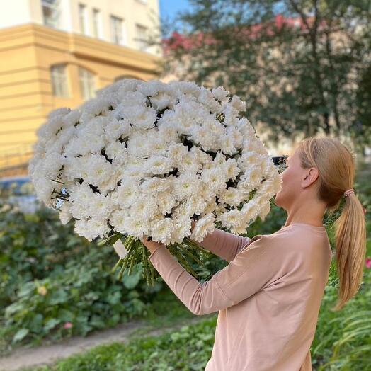 Огромное облако хризантем