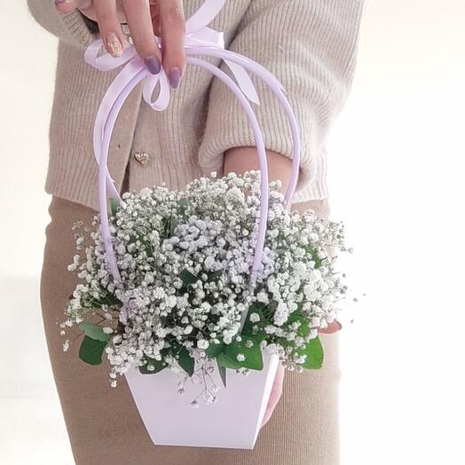 Gypsophila in the handbag