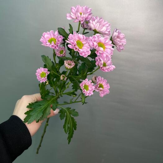 Сантини малиновая 💕