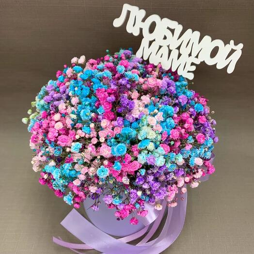 Gypsophila in a box 001