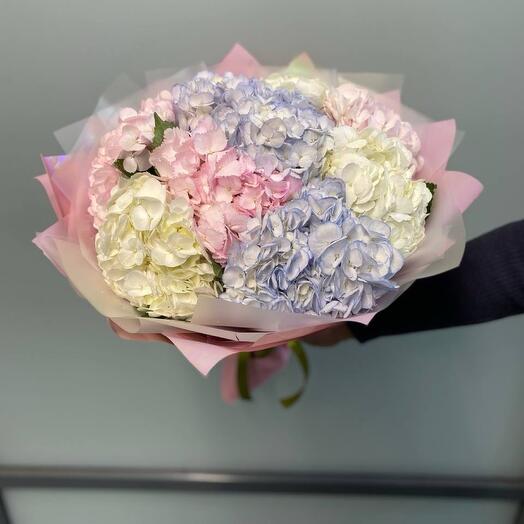 Гортензии микс