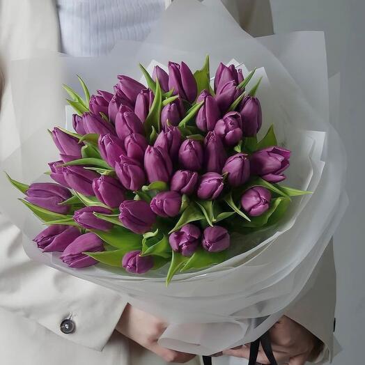 Tulip