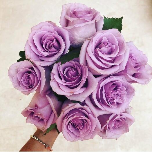 Bunch of Purple Roses