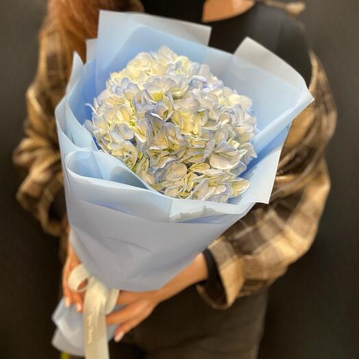 Ramo de hortensias