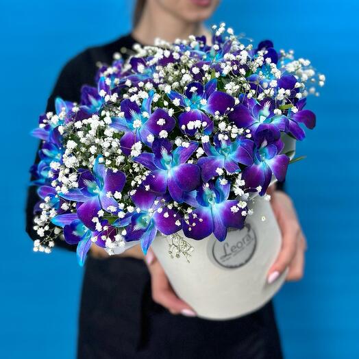 Цветы в коробке Орхидея Космос с гипсофилой. Композиция 681. Leora Flowers дом цветочной моды