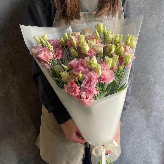Gentle eustoma