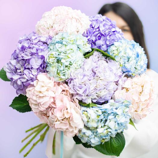 Bouquet of 9 hydrangeas "This is love!"