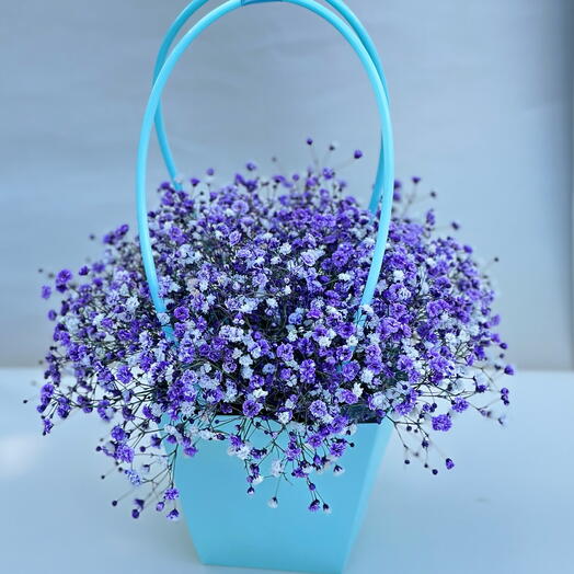 Gipsofila bouquet