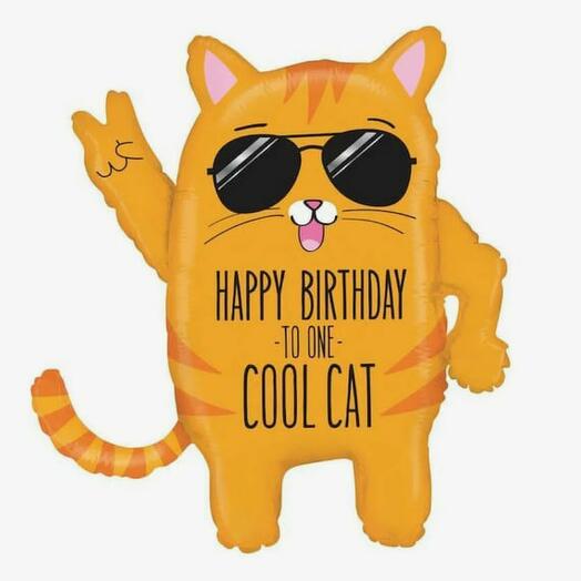 Foil balloon with helium Cool cat, 86cm, 1 pc