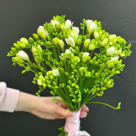 25 фрезия