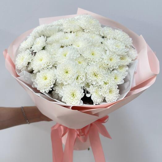 Хризантемы M