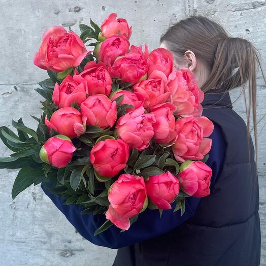 Пионы голландские