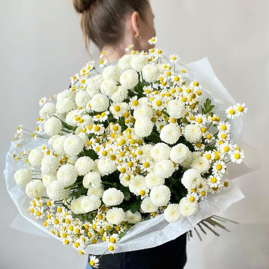 Chrysanthemum and daisies