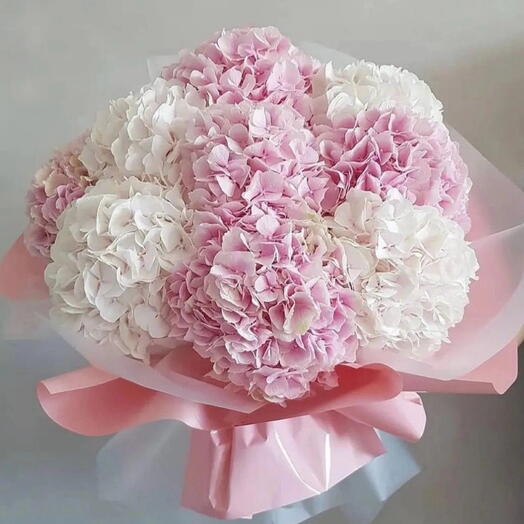 Pink And White Hortensias Duo Bouquet
