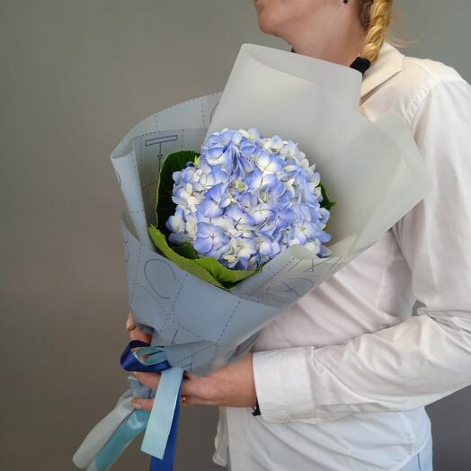 Hortensia azul