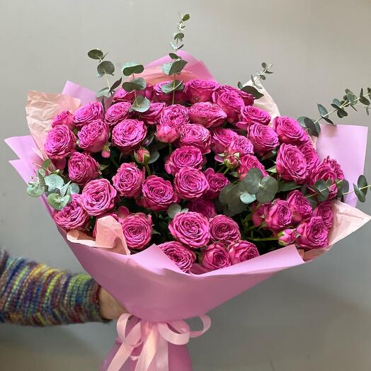 Pink fuchsia