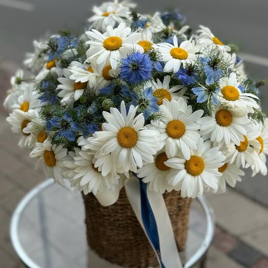 Daisies basket