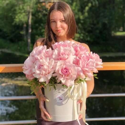 Бокс « Франция »