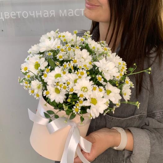 Привет, ромашки