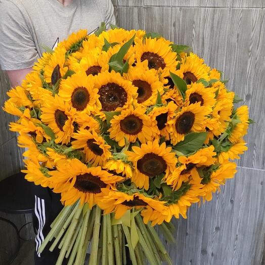 Bouquet of 101 sunflowers